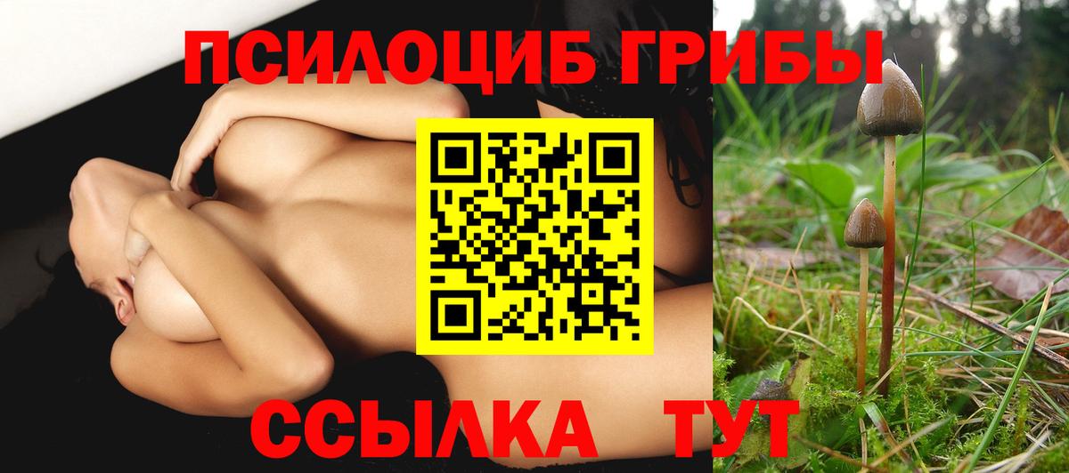 Псилоцибиновые грибы мухоморы Южно-Сахалинск